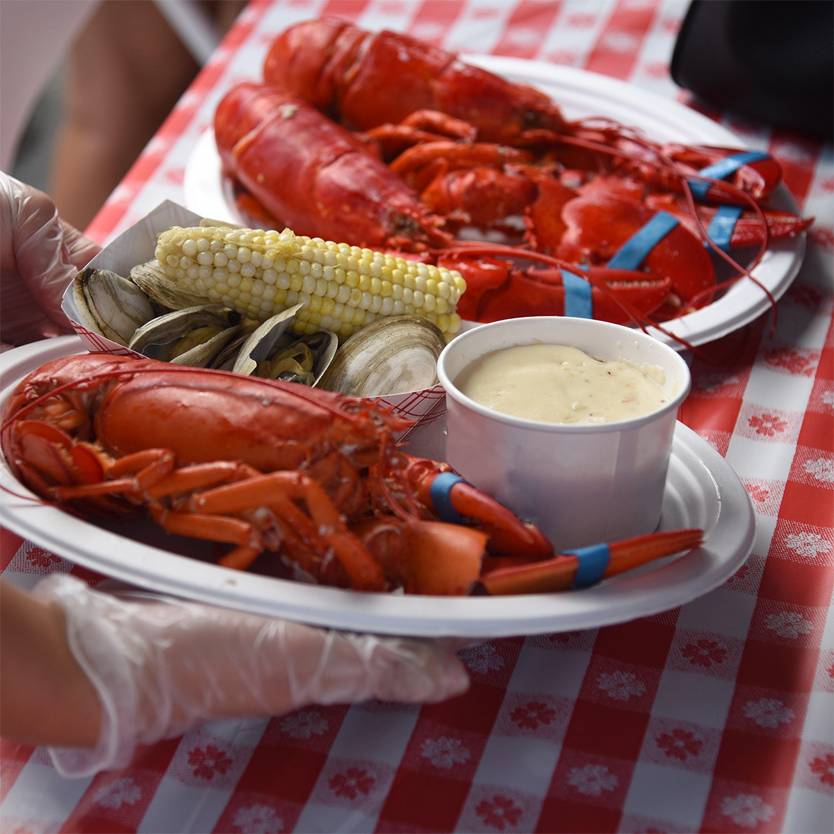 Celebrate Summer At The Boston Seafood Festival | Improper Bostonian